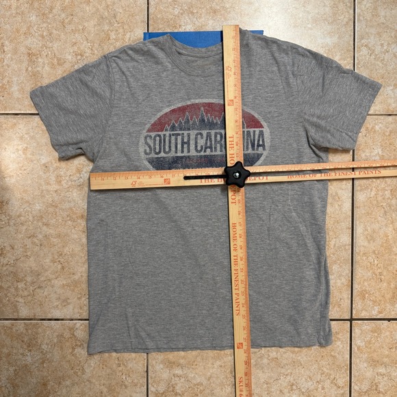 South‎ Carolina Palmetto State Graphic T-Shirt Mens Gray Souvenir Tee - Picture 3 of 4